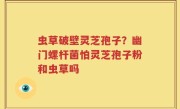 虫草破壁灵芝孢子？幽门螺杆菌怕灵芝孢子粉和虫草吗