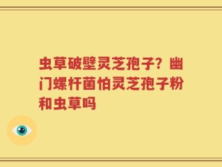 虫草破壁灵芝孢子？幽门螺杆菌怕灵芝孢子粉和虫草吗