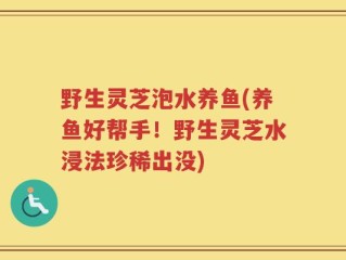 野生灵芝泡水养鱼(养鱼好帮手！野生灵芝水浸法珍稀出没)