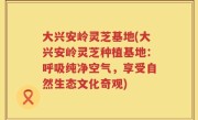 大兴安岭灵芝基地(大兴安岭灵芝种植基地：呼吸纯净空气，享受自然生态文化奇观)