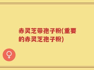 赤灵芝带孢子粉(重要的赤灵芝孢子粉)