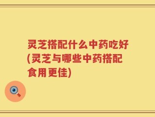 灵芝搭配什么中药吃好(灵芝与哪些中药搭配食用更佳)