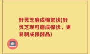 野灵芝磨成棉絮状(野灵芝现可磨成棉状，更易制成保健品)