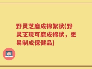 野灵芝磨成棉絮状(野灵芝现可磨成棉状，更易制成保健品)