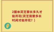 2厘米灵芝要长多久才能开花(灵芝需要多长时间才能开花？)