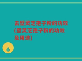 去壁灵芝孢子粉的功效(壁灵芝孢子粉的功效及用途)