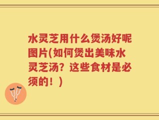 水灵芝用什么煲汤好呢图片(如何煲出美味水灵芝汤？这些食材是必须的！)