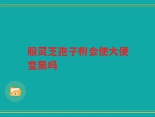 服灵芝孢子粉会使大便变黑吗