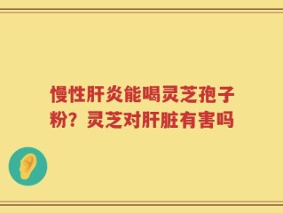 慢性肝炎能喝灵芝孢子粉？灵芝对肝脏有害吗
