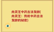 肉灵芝中药古法发酵(肉灵芝：传统中药古法发酵的秘密)