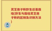 灵芝孢子粉野生还是栽培(野生与栽培灵芝孢子粉的区别及识别方法)