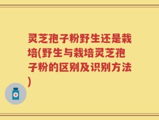 灵芝孢子粉野生还是栽培(野生与栽培灵芝孢子粉的区别及识别方法)