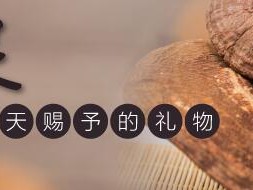 吃灵芝孢子粉癌症加重了？告诉你什么癌症不能吃灵芝孢子粉
