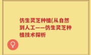 仿生灵芝种植(从自然到人工——仿生灵芝种植技术探析