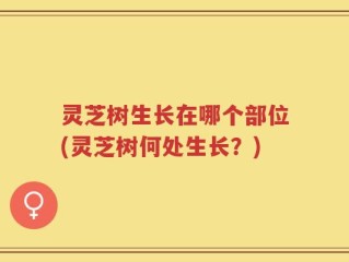 灵芝树生长在哪个部位(灵芝树何处生长？)