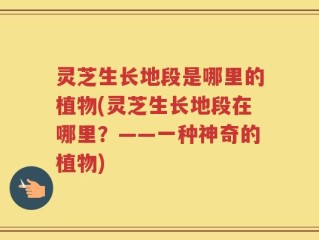 灵芝生长地段是哪里的植物(灵芝生长地段在哪里？——一种神奇的植物)