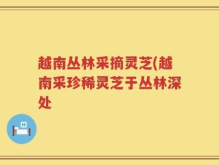 越南丛林采摘灵芝(越南采珍稀灵芝于丛林深处