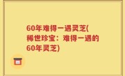 60年难得一遇灵芝(稀世珍宝：难得一遇的60年灵芝)