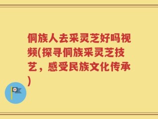 侗族人去采灵芝好吗视频(探寻侗族采灵芝技艺，感受民族文化传承)