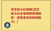 灵芝和小红视频(灵芝和小红合唱视频再现精彩：感受音乐的独特魅力！)