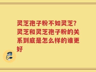 灵芝孢子粉不如灵芝？灵芝和灵芝孢子粉的关系到底是怎么样的谁更好