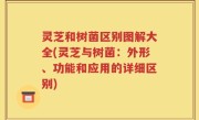 灵芝和树菌区别图解大全(灵芝与树菌：外形、功能和应用的详细区别)