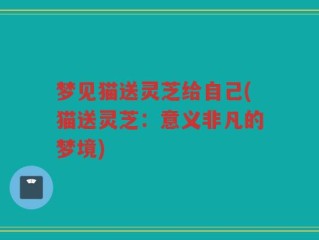 梦见猫送灵芝给自己(猫送灵芝：意义非凡的梦境)