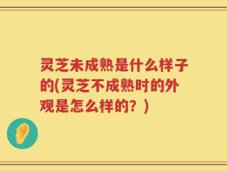 灵芝未成熟是什么样子的(灵芝不成熟时的外观是怎么样的？)