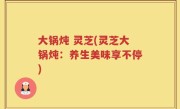 大锅炖 灵芝(灵芝大锅炖：养生美味享不停)