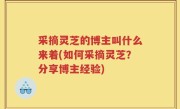 采摘灵芝的博主叫什么来着(如何采摘灵芝？分享博主经验)