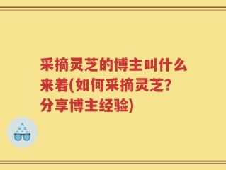 采摘灵芝的博主叫什么来着(如何采摘灵芝？分享博主经验)