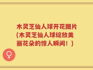 木灵芝仙人球开花图片(木灵芝仙人球绽放美丽花朵的惊人瞬间！)