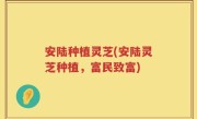 安陆种植灵芝(安陆灵芝种植，富民致富)