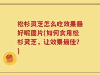 松杉灵芝怎么吃效果最好呢图片(如何食用松杉灵芝，让效果最佳？)