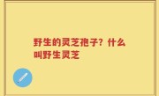 野生的灵芝孢子？什么叫野生灵芝