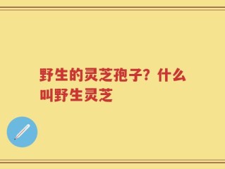 野生的灵芝孢子？什么叫野生灵芝