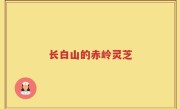 长白山的赤岭灵芝