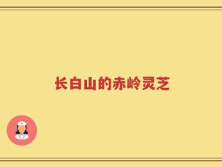 长白山的赤岭灵芝