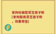 老狗吃破壁灵芝孢子粉(老狗服用灵芝孢子粉，效果奇佳)