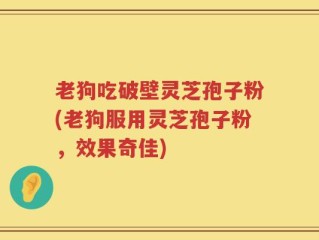 老狗吃破壁灵芝孢子粉(老狗服用灵芝孢子粉，效果奇佳)