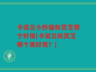 卡姿兰小野猫和灵芝哪个好用(卡姿兰和灵芝哪个更好用？)