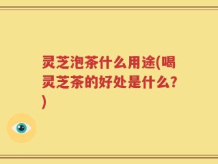 灵芝泡茶什么用途(喝灵芝茶的好处是什么？)