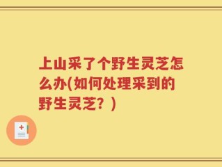 上山采了个野生灵芝怎么办(如何处理采到的野生灵芝？)
