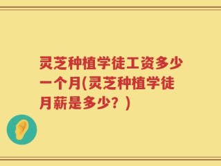 灵芝种植学徒工资多少一个月(灵芝种植学徒月薪是多少？)