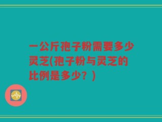 一公斤孢子粉需要多少灵芝(孢子粉与灵芝的比例是多少？)