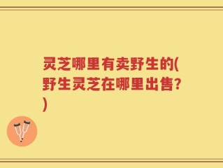 灵芝哪里有卖野生的(野生灵芝在哪里出售？)