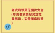 老式翡翠灵芝图片大全(珍贵老式翡翠灵芝完美展示，实景图库欣赏)