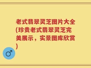 老式翡翠灵芝图片大全(珍贵老式翡翠灵芝完美展示，实景图库欣赏)
