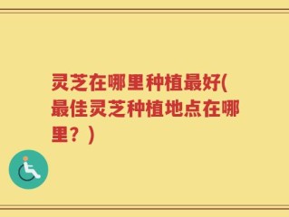 灵芝在哪里种植最好(最佳灵芝种植地点在哪里？)