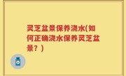 灵芝盆景保养浇水(如何正确浇水保养灵芝盆景？)